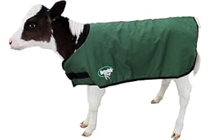 BetterMilk Calf Coat, Warming Blanket for Calves and Livestock, Quilted Cattle Jacket Thats Water Resistant and Protects Animals in Winter and Cold Weather - Large/Holstein