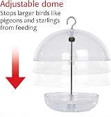 Jacobi Jayne I Love Robins Pearl Feeder Large - Clear Tray Dome view 3