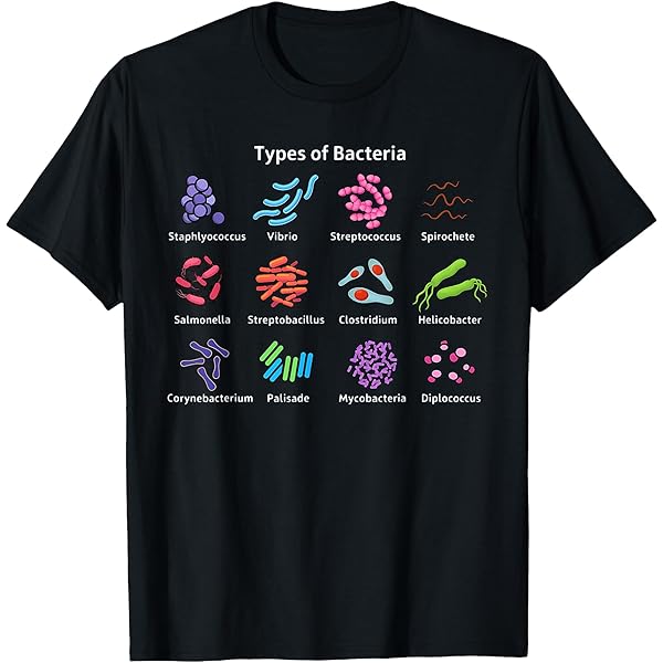 Microbiologiste Microbiologie Laboratoire Biologie des staphylocoques T Microbiologiste Microbiologie Laboratoire Biologie des staphylocoques T