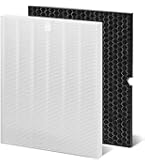 Amazon.com: 116130 HEPA Replacement Filter H 116130 for Winix 5500