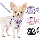Lukovee No Pull Puppy Harness and Leash Set - Soft Lightweight Escape Proof Puppy Vest Harness, Breathable Adjustable Pet Harness with Dog Leash for Small Dogs (Purple, XXS)