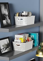 WYT 12-Pack Plastic Small Shelf Storage Weave