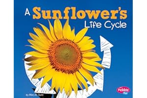 A Sunflower's Life Cycle