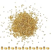 Pandahall 1700Pcs Tiny Brass Tube Crimp Beads End Caps 1.5x1.5x1mm Column Crimps Stopper Beads for DIY Jewelry Making (Golden)