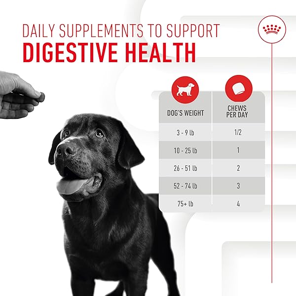 ROYAL CANIN DIGESTIVE DOG SUPPLEMENT SOFT CHEWS FOR ADULT DOGS, 60 COUNT