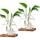 TkoYuHm 2 Pack Plant Propagation Station with Wooden Base Glass Terrariums for Indoor Plants Decorative Round Vases for Flowers Hydroponic Planter for Home Office Decor