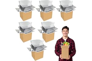 QLOUNI 6 Pack Thermo Chill Double Insulated Shipping Box with Aluminum Foil Insulated Bag Liner, Reusable Hot & Frozen Food Delivery Insulated Carton for Shipping, Mailing, Packing, Moving, 6x5x9 Inch