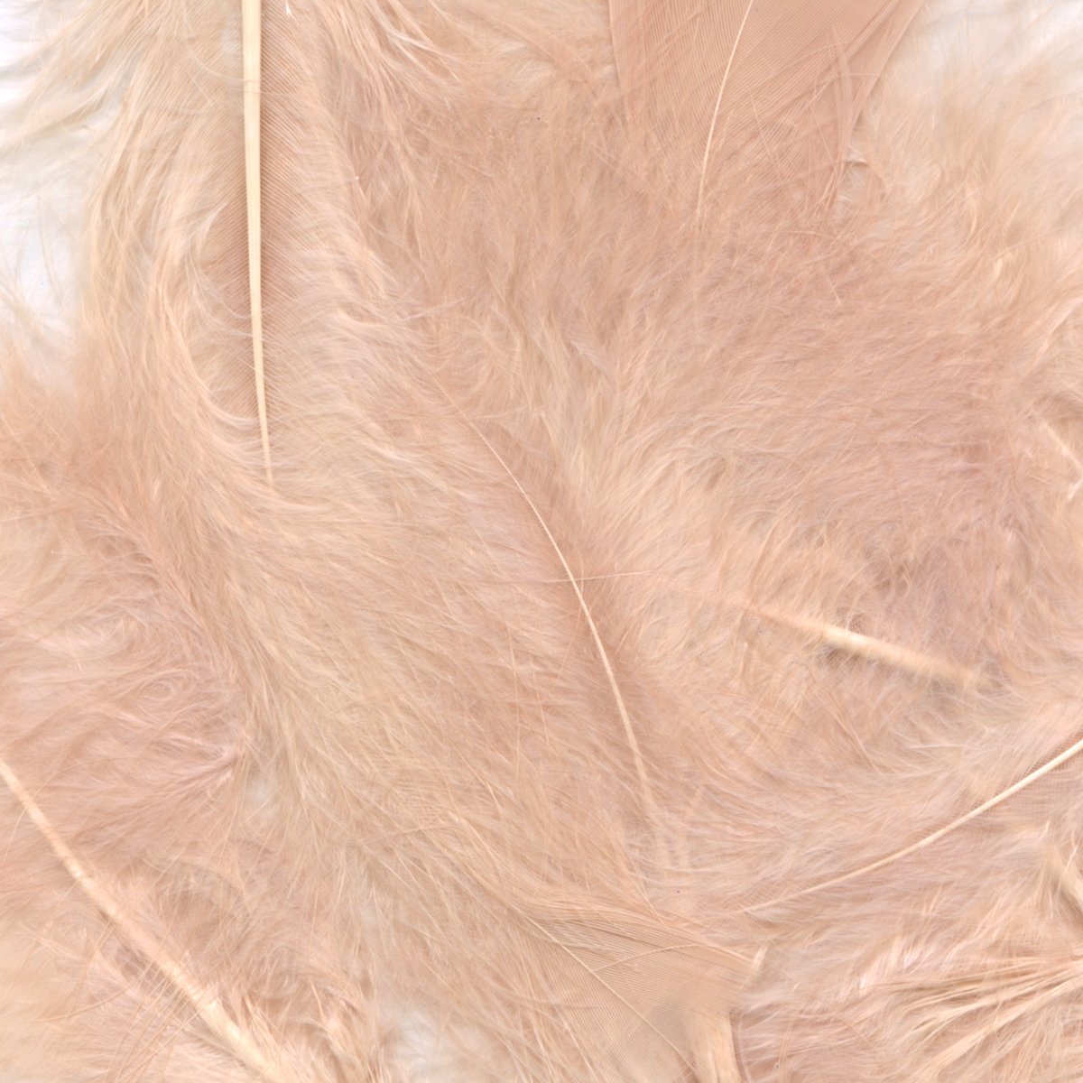Rose Gold 1st Grade Eleganza Decorative Marabout Feathers Mixed sizes 3"- 8" 50g pack