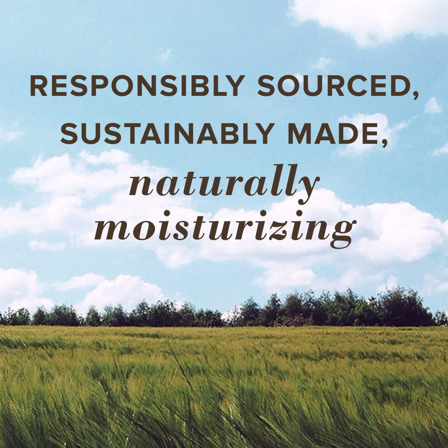 Burt's Bees Lip Balm Stocking Stuffers, Moisturizing Lip Care Holiday Gift, 100% Natural, Original Beeswax with Vitamin E & Peppermint Oil (4 Pack)