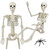36" Skeleton Halloween Decorations, 3ft Life Size