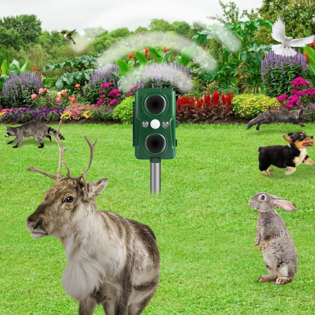 Clever sprouts Dog Cat Repellent, Ultrasonic Animal Repellent with Motion Sensor and Flashing Lights Outdoor Solar Powered Waterproof Farm Garden Yard Repellent, Cats, Dogs, Foxes, Birds, Skunks, Rod: Pet Supplies