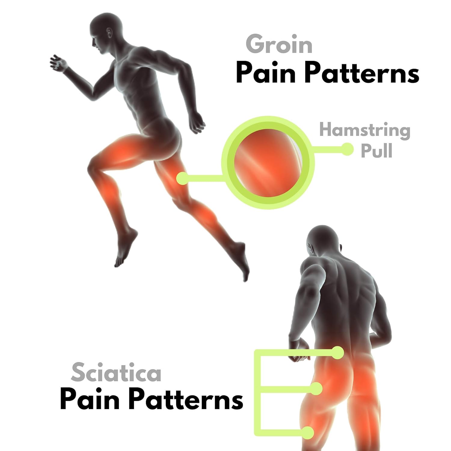 Groin Wrap, Adjustable Support for Hip, Groin, Hamstring, Thigh, and Sciatic Nerve Pain Relief: Industrial & Scientific