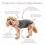 BellyGuard Dog Recovery Onesie Large Grey Cone Alternative After Surgery view 5