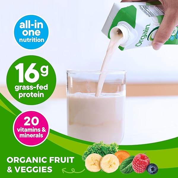 ORGAIN ORGANIC NUTRITIONAL SHAKE, VANILLA BEAN – MEAL REPLACEMENT, 16G PROTEIN, 20 VITAMINS & MINERALS, GLUTEN FREE, SOY FREE, KOSHER, NON-GMO, 11 OUNCE, 12 COUNT (PACKAGING MAY VARY)