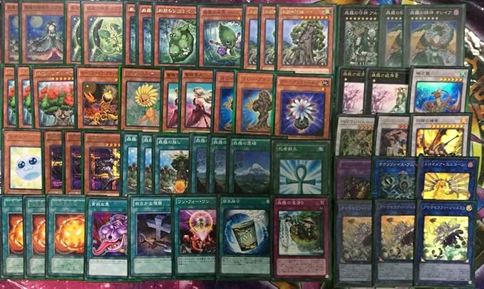 Amazon 森羅 デッキ 遊戯王 スプラウト ピース シャーマン薔薇恋人