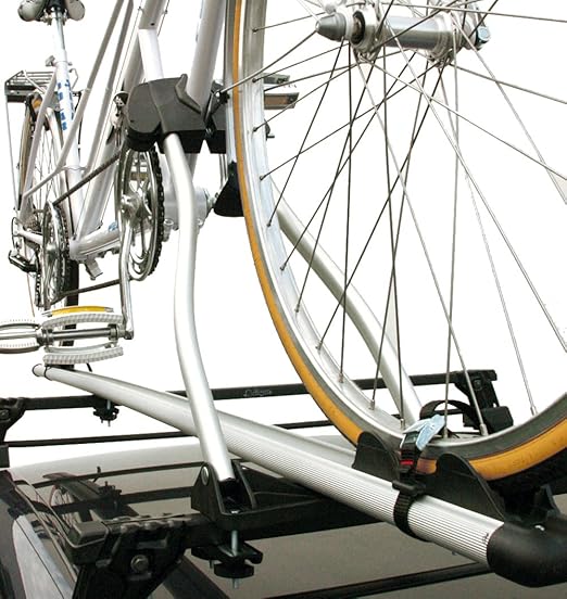 avenir cycle carrier