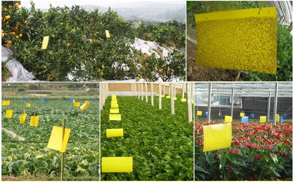 20PCS trampas adhesivas doble amarillas moscas jardín tablero ...