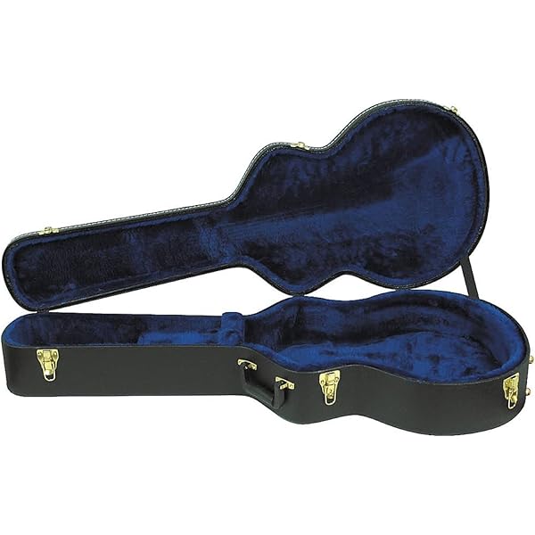 Amazon.com: Ibanez PF50C Dreadnought Hard Shell Case for PF