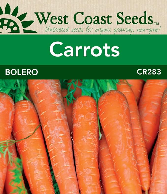 Carrot Seeds Bolero F1 Amazon.ca Patio, Lawn & Garden