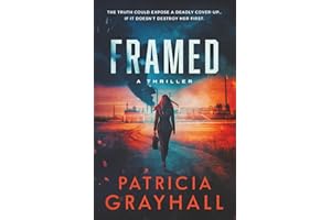 Framed: A Thriller