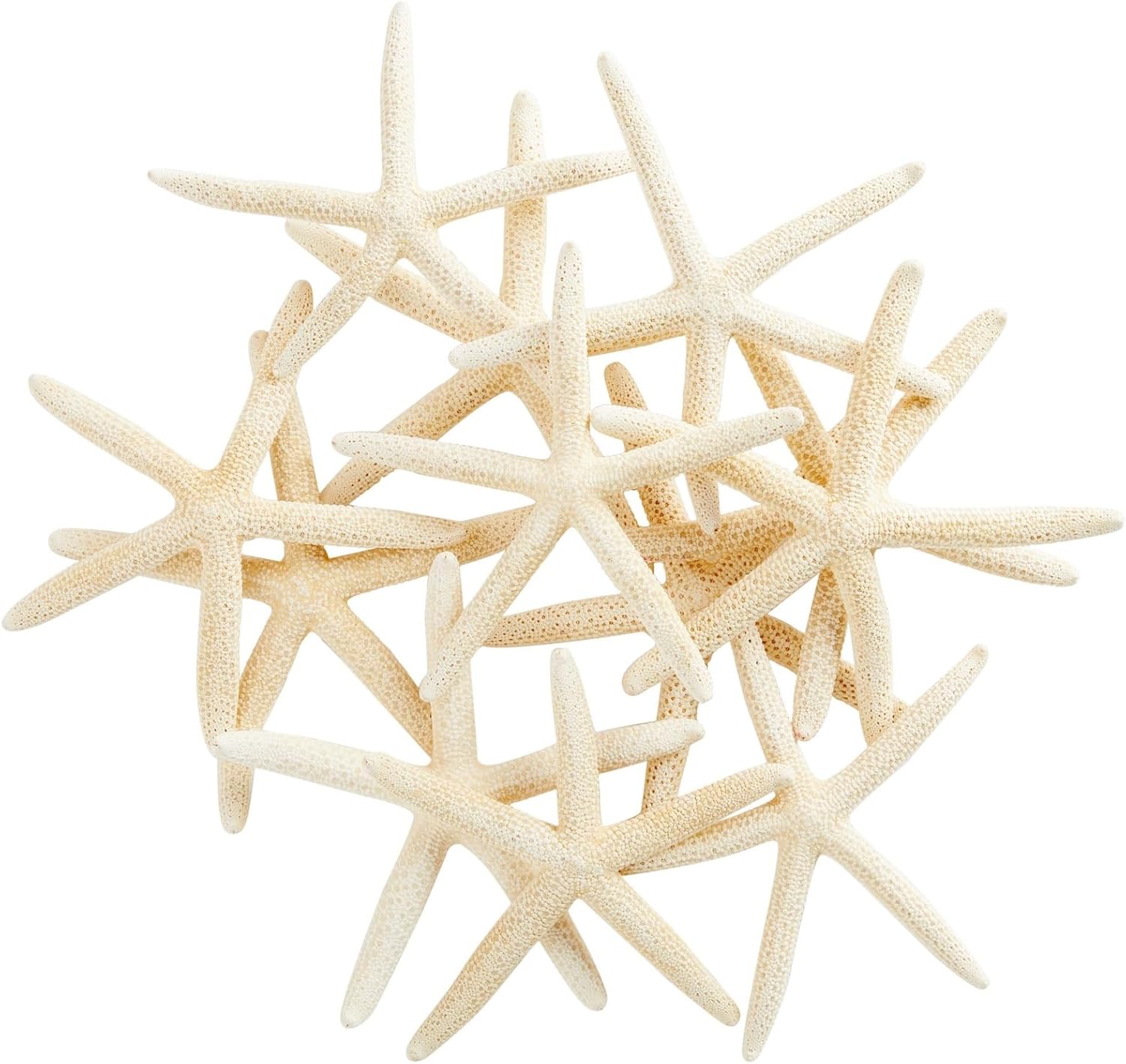 Vase Fillers - 12 Pack White Starfish for Crafts and Decorating, Nautical Sea Ornaments for Birthday Party, Wedding Decor (4-6 In)