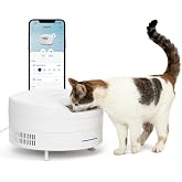 PetSafe FreshFeed Refrigerated Automatic Wet Food Feeder, 6 Meals, White | 40F Dual Semiconductor Cooling, Keeps Wet Food Fresh, Automatic 6-Meal Rotating Tray, App-Controlled Scheduling