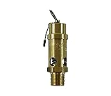 Brass, 1/2" NPT Industrial Soft Seat Safety