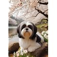 Best Of Breed Shih Tzu Beach Towel - 30" X 60" Black/White Terry Velour Microfiber, Ultra Soft & Quick-Drying - View #10