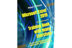 Microsoft Excel 2019 - Training book with many Exercises: From the Beginning to Advanced Applications