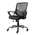 Ergonomic Office Chair Lumbar Support Mesh Chair Computer Desk Task Chair with Armrests