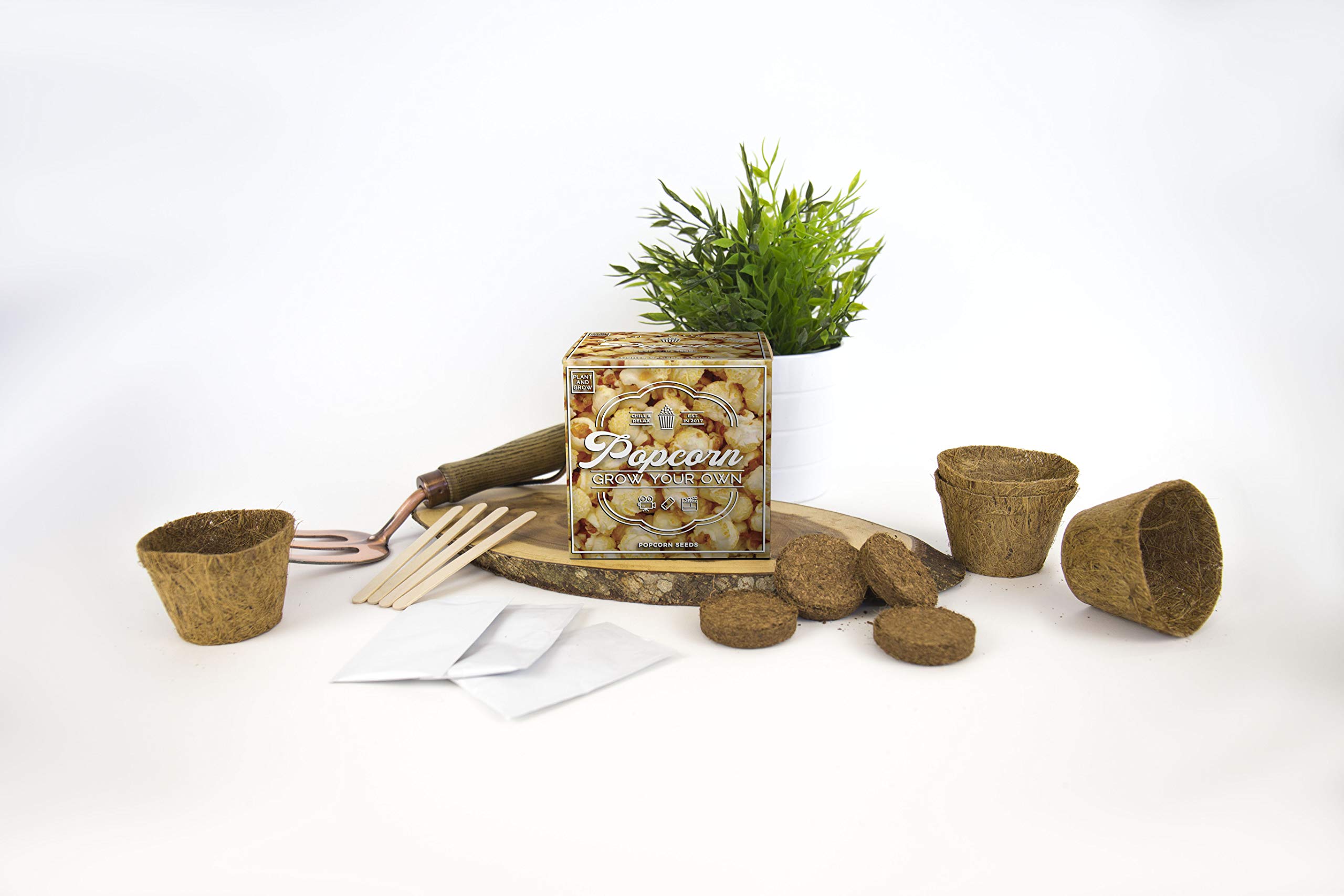 Gift Republic Plant and Grow Popcorn Kit, Multi