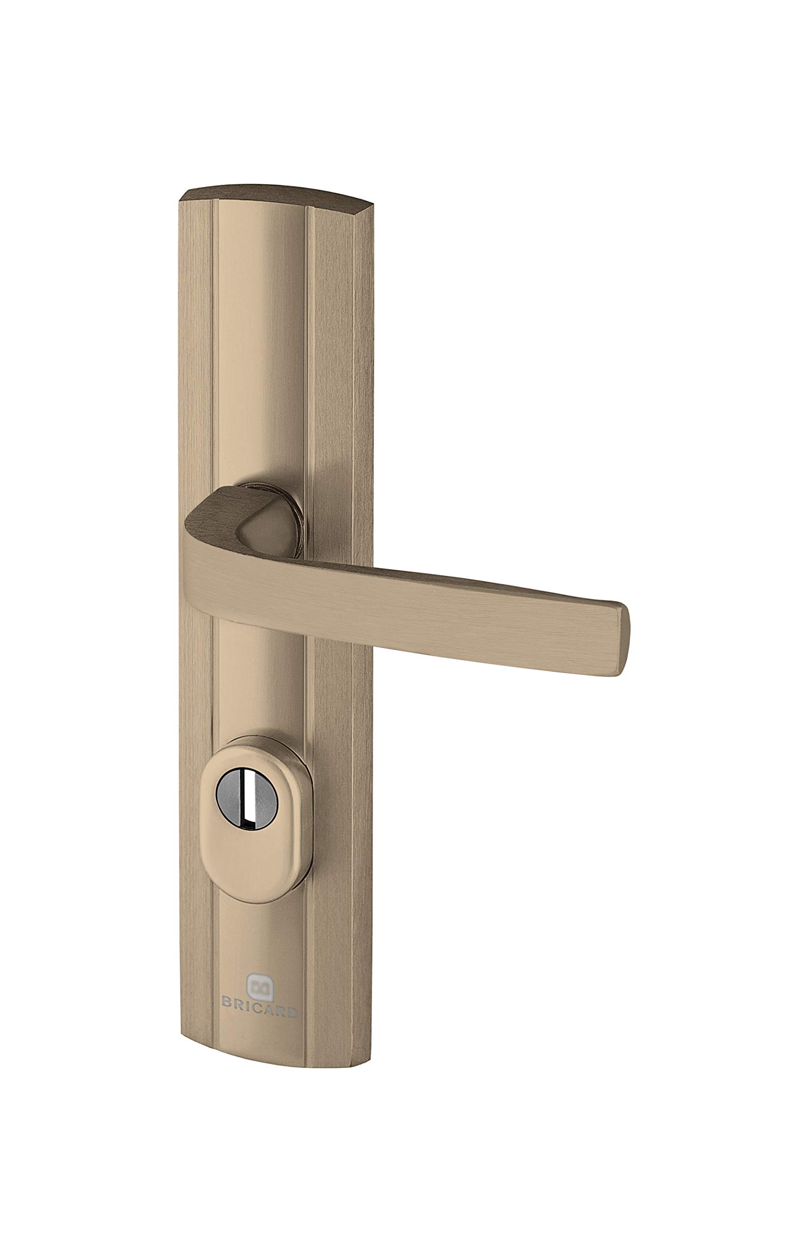 Bricard 9910191 Set of Armoured Handles on Plate Expression Kickstand + Kickstand for Entrance Door (for European Cylinder), Amber Colour