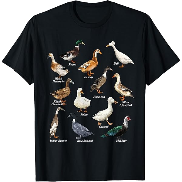 Amazon.com: 3 Ducks Howl At Moon Funny Weird Cursed Pekin Duck