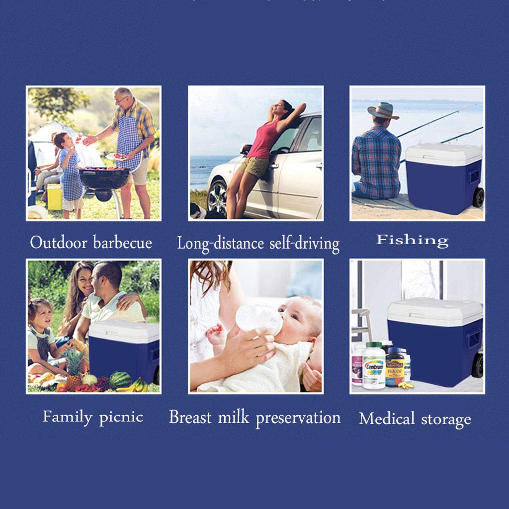 LIYANLCX - Nevera portátil para Camping, caravanas, Picnic y ...