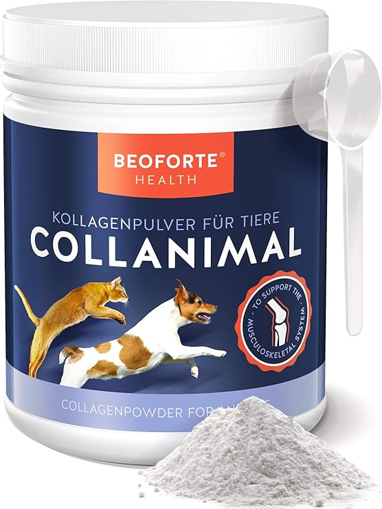 Beoforte Health Kollagen Pulver für Hunde & Katzen