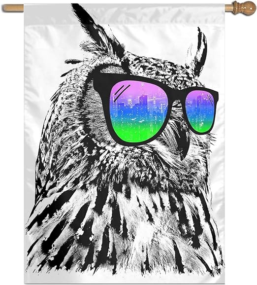 owl with sunglasses