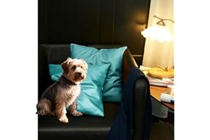 SUSIE'S GARDEN Set of 2 18 x 18 Pillow Covers, Anti Pet hair Throw Outdoor Pillow Cover, Rustic Decorative Patio Pillow Covers, Pillow Covers 18x18 Inchs for Patio Sofa Couch Home Bed Decor, Teal blue