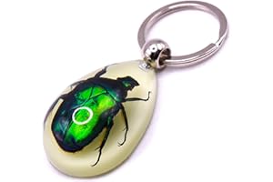 HQRP-Crystal 45mm Real Emerald Green Chafer Beetle in Glow in The Dark Lucite Keychain Insect Animal Taxidermy Sample Inside for Biology Science Education Decoration Tear Drop Key Ring Chain Pendant