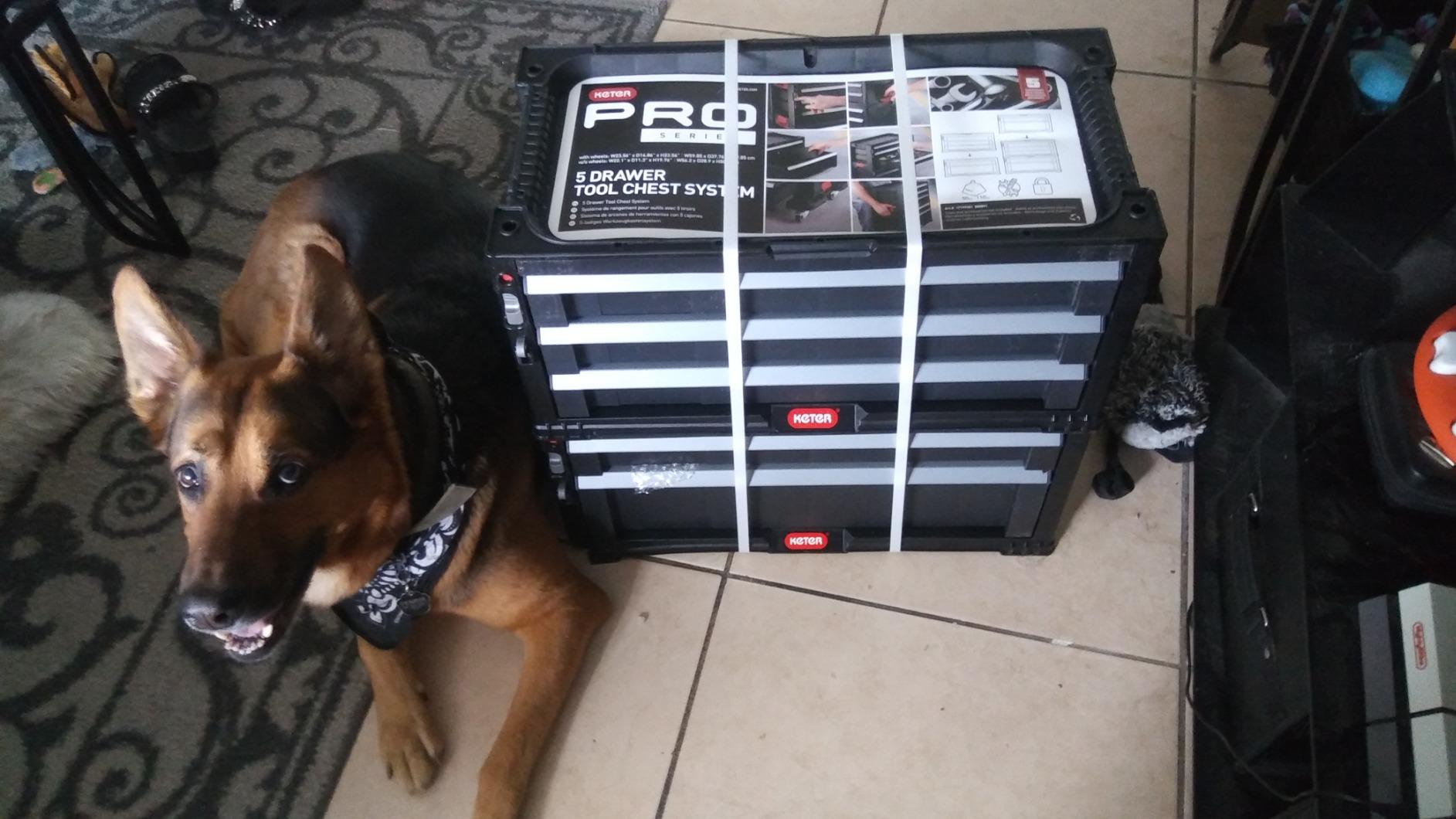 40/mo Finance Keter Rolling Tool Chest with Storage Drawers, Locking