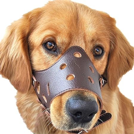 LA VIE Hunde Maulkorb Atmungsaktiv Anti Beißen Bellen Fressen Beisskorb Leder Sicherheit Maulschlaufe Verstellbar für Meisten
