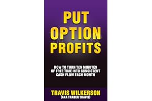 Put Option Profits: How to Turn Ten Minutes of Free Time into Consistent Cash Flow Each Month (Passive Stock Options Trading 