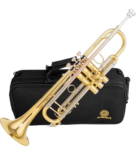LJ Hutchenトランペット 本体 マウスピース付き Amazon.com: LJ Hutchen Bb Trumpet with Plush-Lined Case : Musical