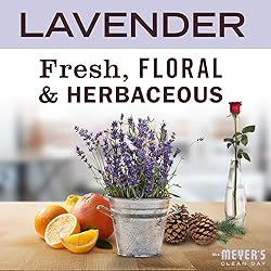 Mrs. Meyer's Clean Day Hand Soap