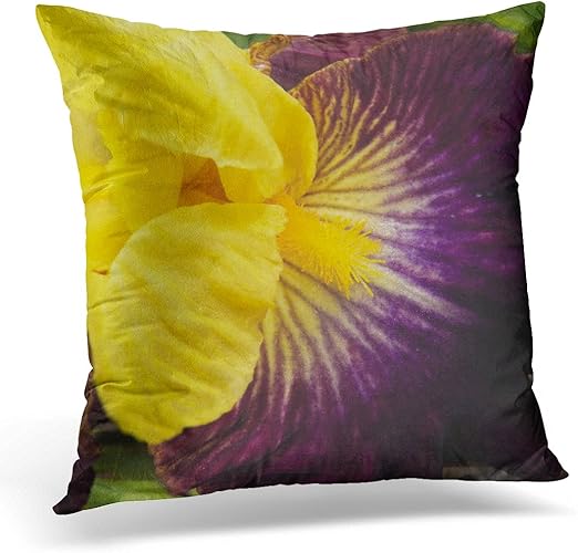 Amazon Com Emvency Throw Pillow Cover Flower Nature Purple And