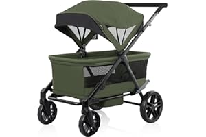 Evenflo Omni Crew Stroller Wagon - Pistachio Green