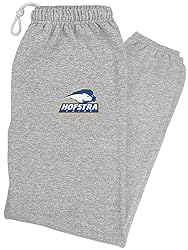 LOGOVISION Hofstra University Primary Logo Mens
