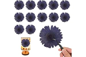 ALJ Large Size Purple Dried Sunflowers for Resin Crafts Embellishment, Natural Real Pressed African Daisy, Gerbera Jamesonii for DIY Jewellery Candle Making Phone Case Home Wedding Decor(3.14-3.54IN)