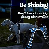 rabbitgoo Dog Harness Medium Front Back Clip Reflective Sky Blue M view 9
