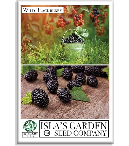 rubber gardening gloves Eco-Friendly Garden Gloves main image 1
