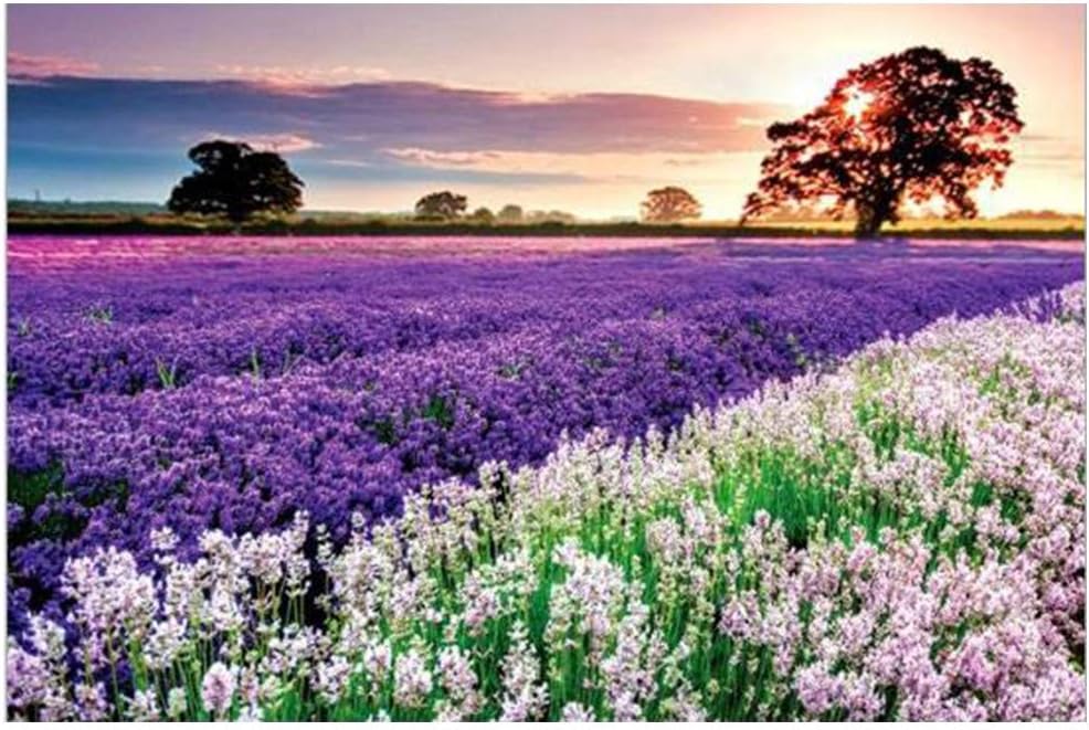 yeyeyo Jigsaw Puzzles for Adults 1000 Piece Classic Jigsaw Puzzle Adults Puzzles Wooden Puzzle DIY Educational Jigsaw Modern Home Decor Unique Gift